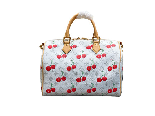 Louis Vuitton x Takashi 