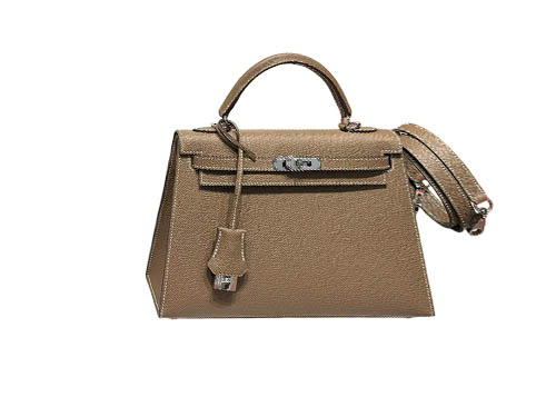 Hermès Kelly 25 Epsom Le